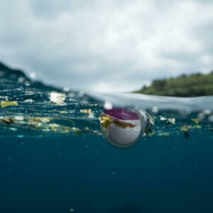 L’inquinamento da plastica nell’ambiente marino